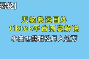 (10326期)无脑搬运国外tiktok历史解说 无需剪辑,简单操作,轻松实现月入过万