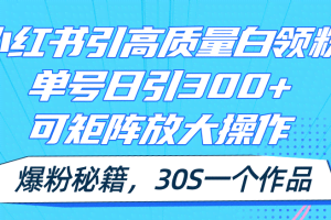 (11692期)小红书引高质量白领粉,单号日引300+,可放大操作,爆粉秘籍!30s一个作品