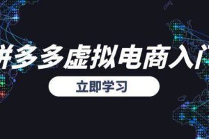 (15158期)拼多多虚拟电商入门,精准选品方法论,无货源模式起盘技巧