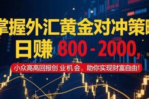 (15198期)掌握外汇黄金对冲策略,日赚 800 – 2000,小众高回报创业机会,助你实…
