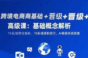 （15496期）跨境电商基础+晋级+高级课：基础概念解析,Tk私域涨粉技巧,AI客服系统搭建