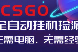（16619期）【副业好项目】全球火爆游戏CSGO自动捡漏，新手小白日入500+
