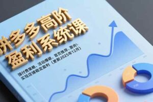 （16843期）拼多多高阶盈利系统课，强付费策略、活动爆破、首页推荐，实现店铺稳定盈利（更新12月）
